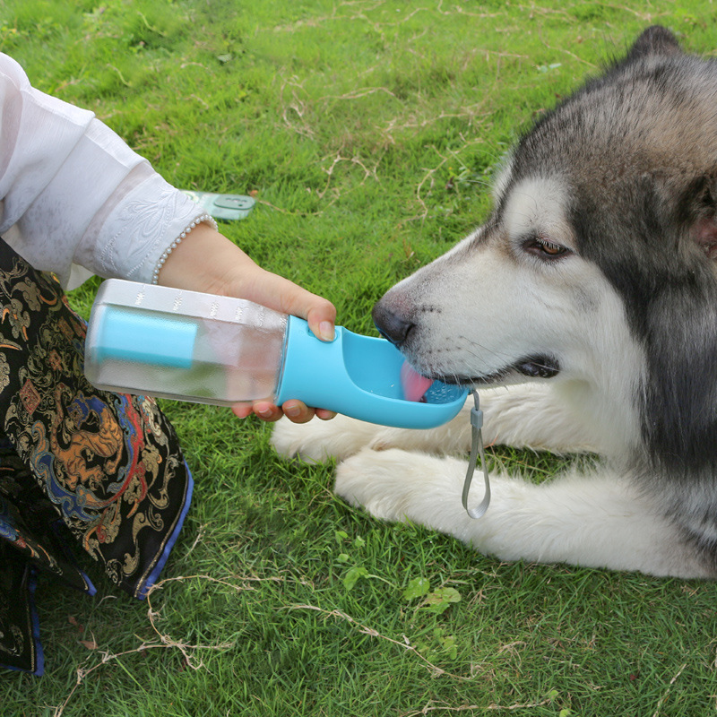 3-In-1 Portable Pet Feeder