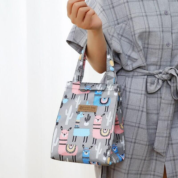 Insulated Lunch Bag