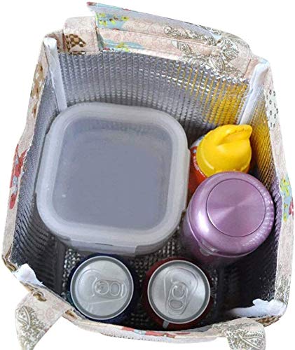Insulated Lunch Bag